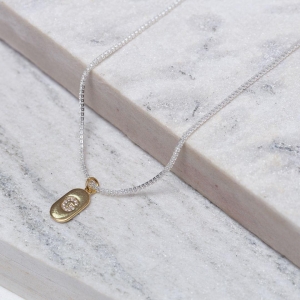 CHOKER RIVIERA PP COM LETRA G CRISTAL BANHO PRATA