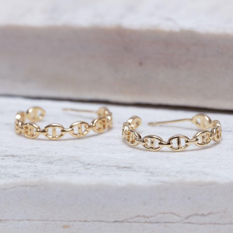 BRINCO ARGOLA CORRENTE DNA BANHO OURO 18K